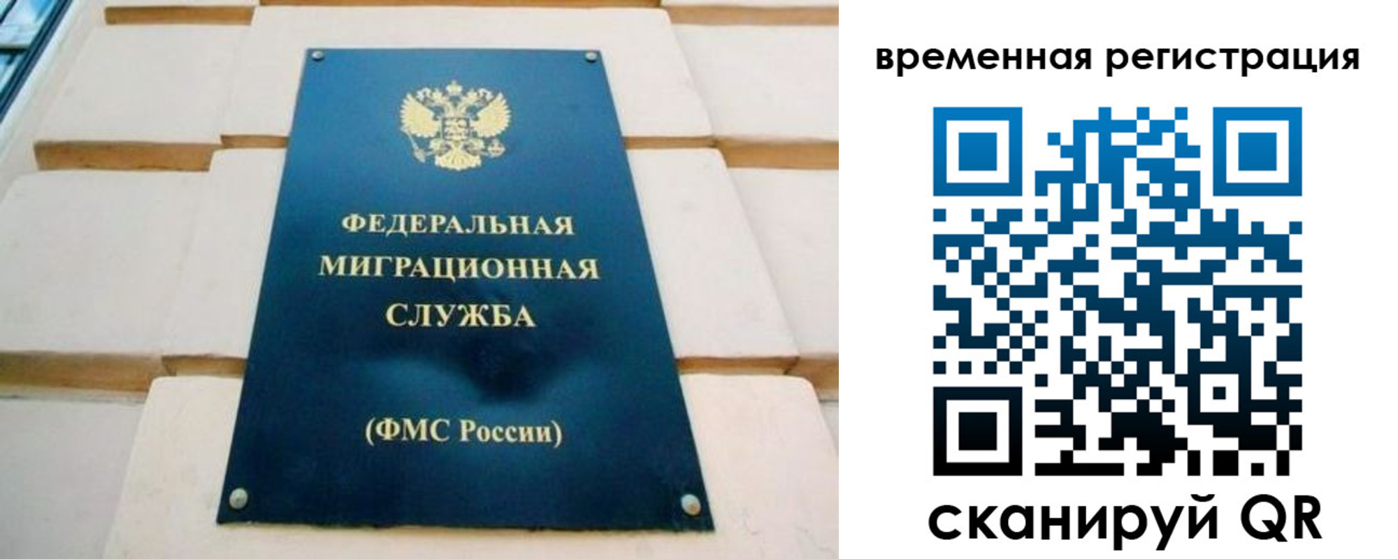 прописка гарантия в Камбарке